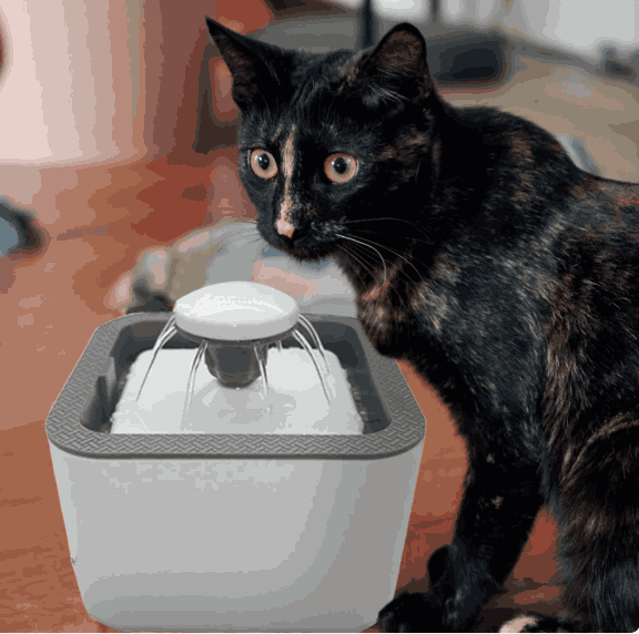 Dispensador de agua para perros y gatos Pets&Health™