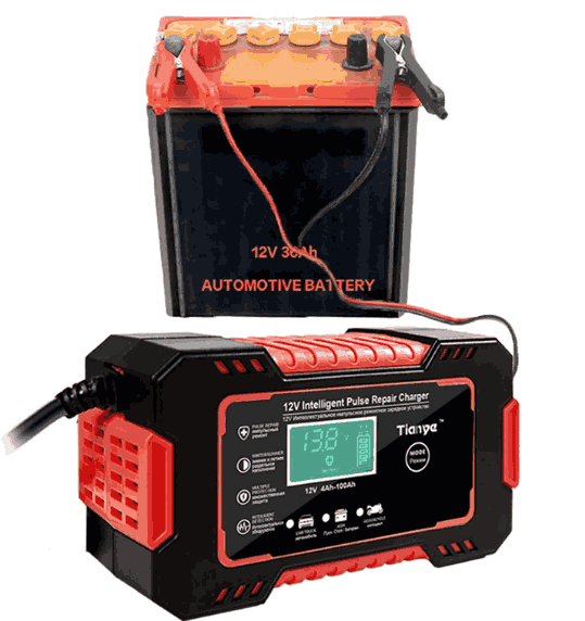 Cargador de Batería para Vehículos BatteriesVolt™