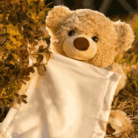Oso Interactivo con Frases para Bebés HappyToys™