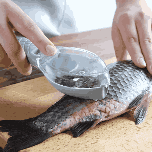 Limpiador Quita Escamas De Pescado CleanFish™