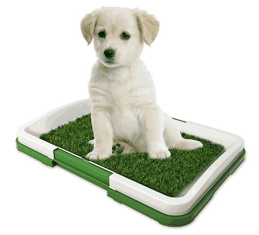Tapete de Entrenamiento / Inodoro de Mascotas PetsEntertainment™