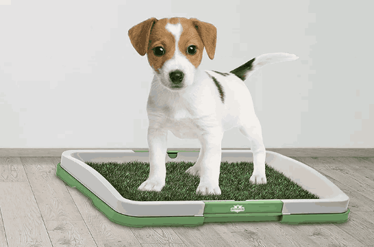 Tapete de Entrenamiento / Inodoro de Mascotas PetsEntertainment™