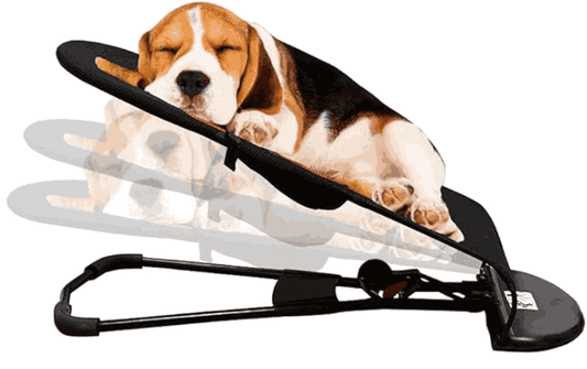Cama mecedora plegable para perros y gatos ComfortPets™