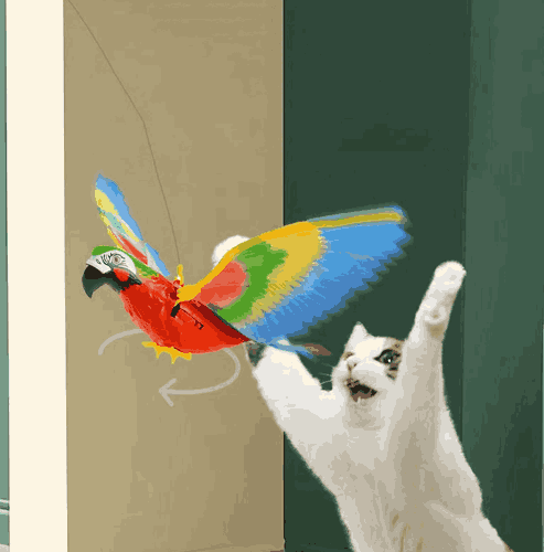 Kit de 2 Juguetes de Pájaros Voladores Eléctricos para Gato CatFun™