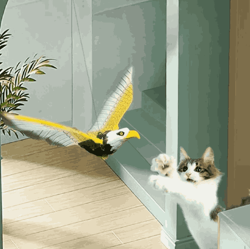 Kit de 2 Juguetes de Pájaros Voladores Eléctricos para Gato CatFun™