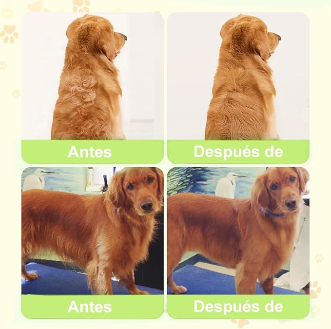 Cepillo de Vapor Pets&Clean®