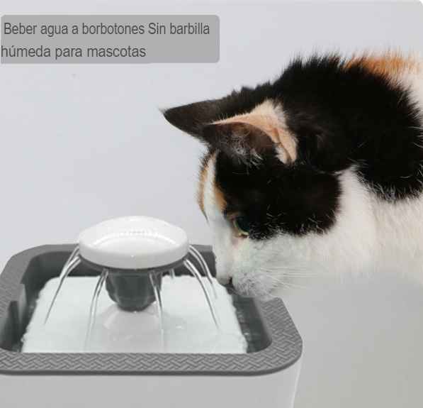 Dispensador de agua para perros y gatos Pets&Health™