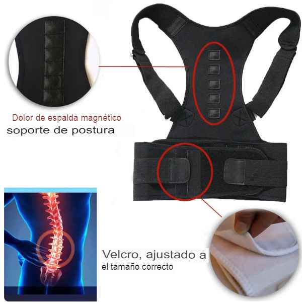 Corrector de Postura HealthyBack™