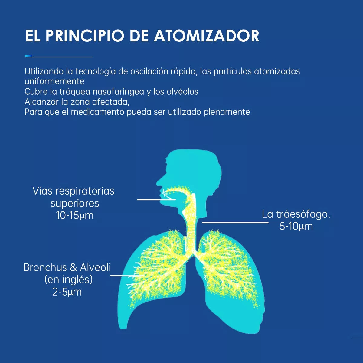 Nebulizador Ultrasónico Home Mini Portátil Niños Y Adultos