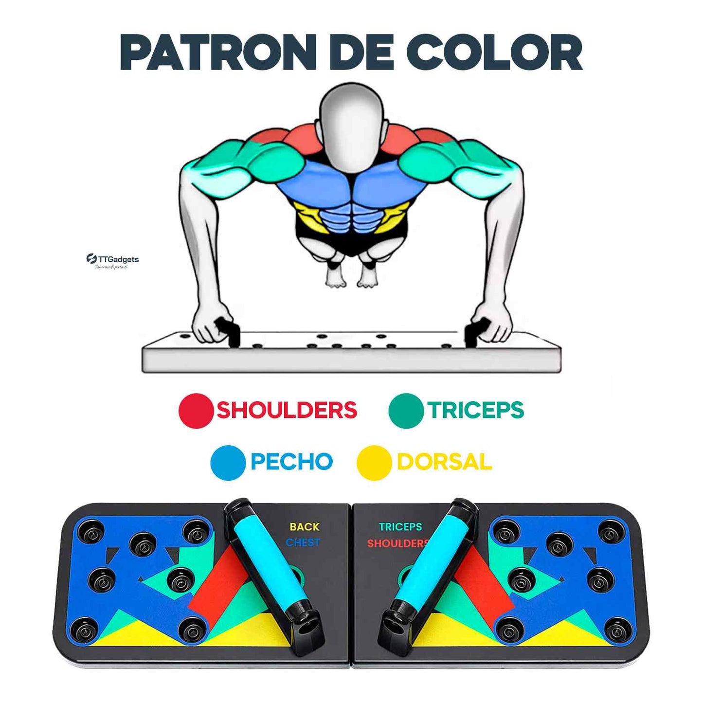 Tablero de Push Up/Flexiones de entreno completo de tren superior Flex Body®